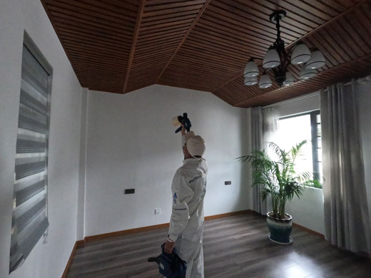 大理別墅除甲醛